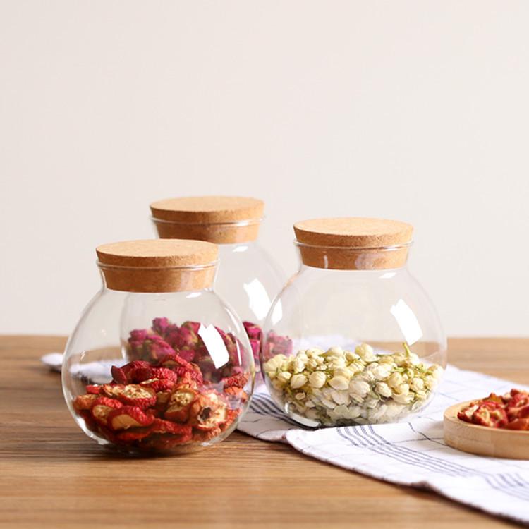 High Borosilicate Glass Airtight Jar with Cork Stopper for Moss or Terrariums