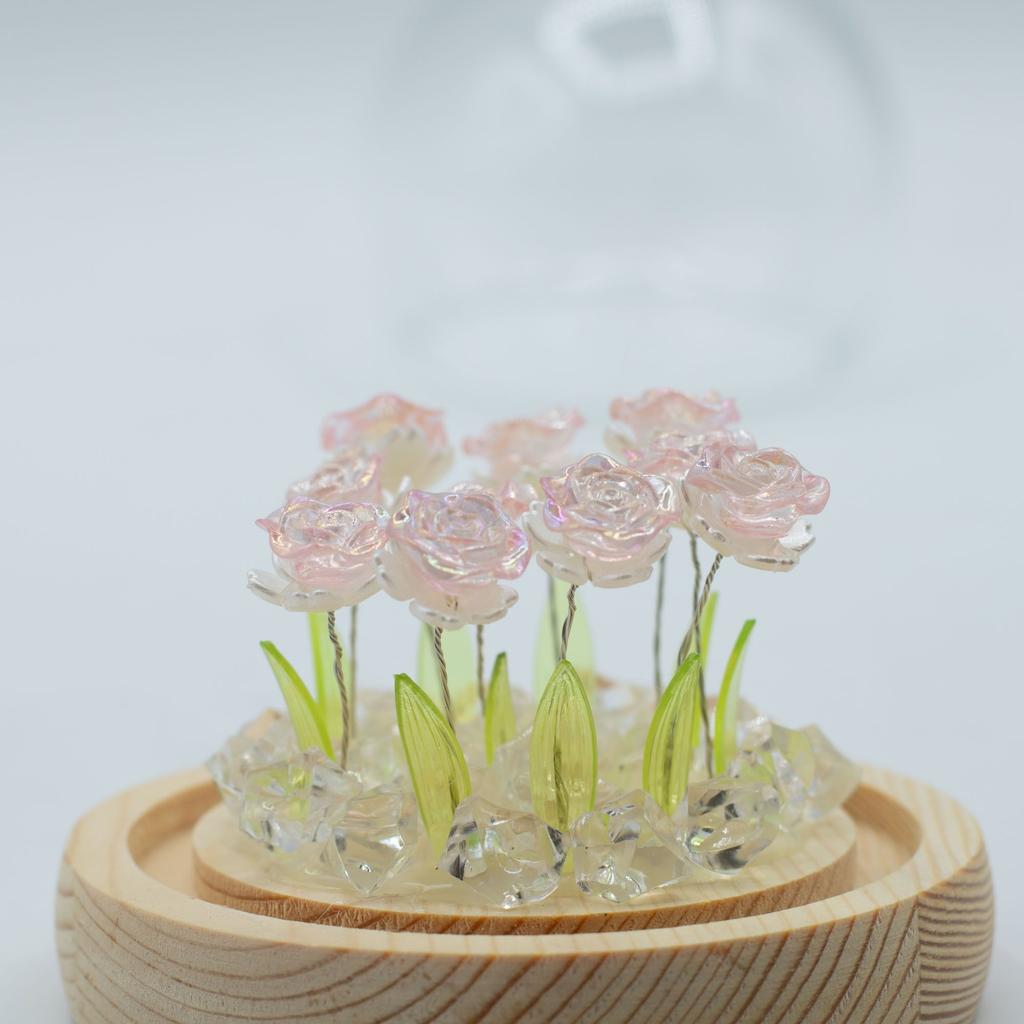 Floral Glow Garden Dome – 10 Pink Roses – LED USB