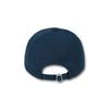 DOLPHIN WAVE APPAREL Dolphin Lettering Ball Cap_123824NV