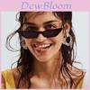 Elegant Women Cat Eye Design Sunglasses With Retro Small Eyeglass And Uv Protection
