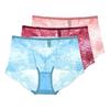 3 Pezzi Lingerie Sexy da Donna Vita Alta Slip in Pizzo Rete Trasparente Boyshorts Slip da Donna