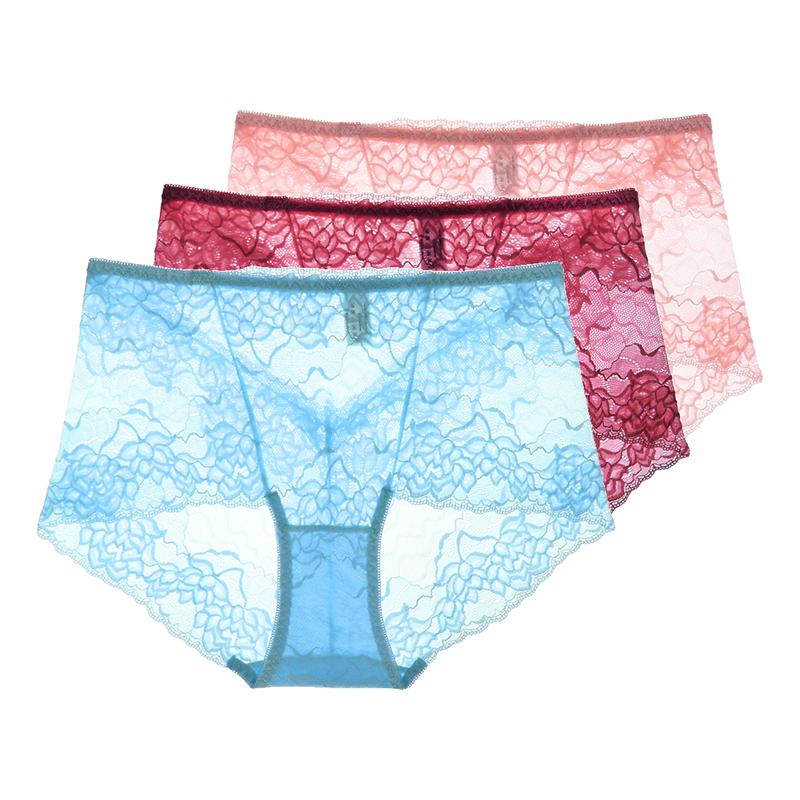 3 Pezzi Lingerie Sexy da Donna Vita Alta Slip in Pizzo Rete Trasparente Boyshorts Slip da Donna