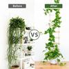 180x20cm Indoor Plant Ladder  Wooden Vertical Monstera Support Vine Climbing Support For Home Apartment Balcony Patio decoration