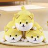 Participatory fleece Dog Toy Featuring Built in Squeaker Promoting Chew Resistant Fun and Teeth Health for Small to Average Breeds Ensuring Safe Play