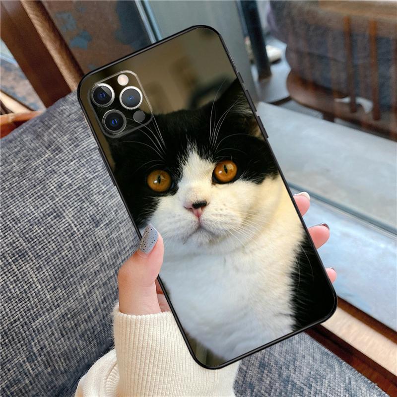 British Shorthair Cat Phone Case For iPhone 16 15 14 13 11 12 Pro Max 12 13 mini XR 15 16 Plus 16e Cover Shell
