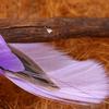 12pcs/Box Exquisite Color Simulation Feather Bird Garden Landscape Foam Bird Micro Landscape Simulat