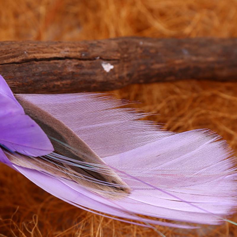 12pcs/Box Exquisite Color Simulation Feather Bird Garden Landscape Foam Bird Micro Landscape Simulat