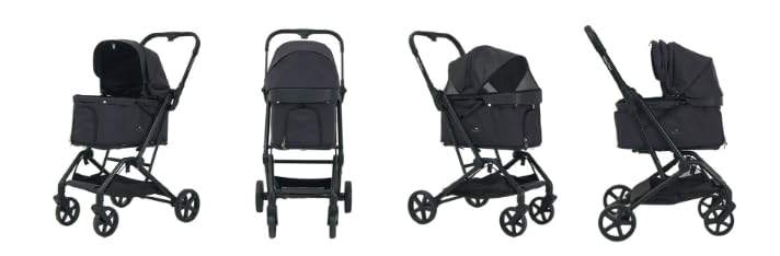 Royal Tails Haustier Elfenbein Florenz, Wagen,