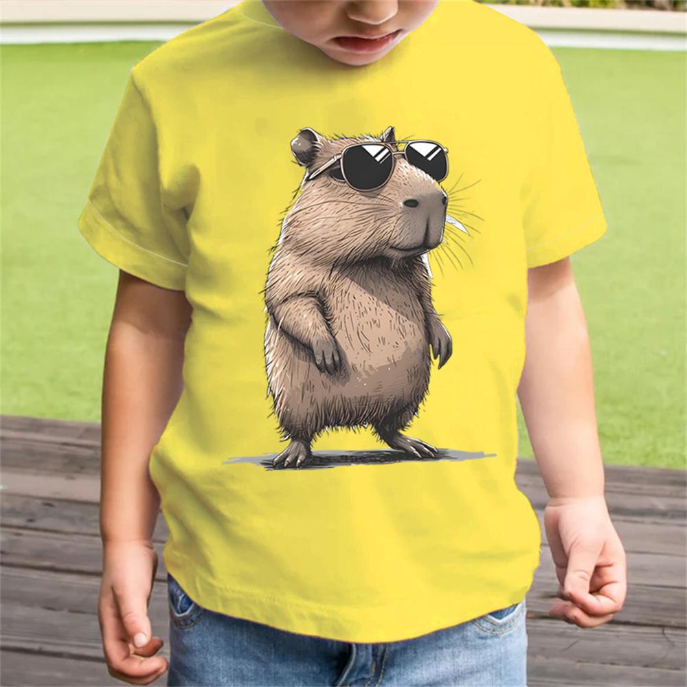 Summer Round Neck 3D Printed Cartoon Capybara Top Fashionable Casual Short Sleeved Children's Boy and Girl Kids Unisex T-shirts