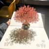 Biglietto Torta di Compleanno Pop-Up 3D - Scultura di Carta Piegata Creativa Regalo per Fidanzato o Fidanzata
