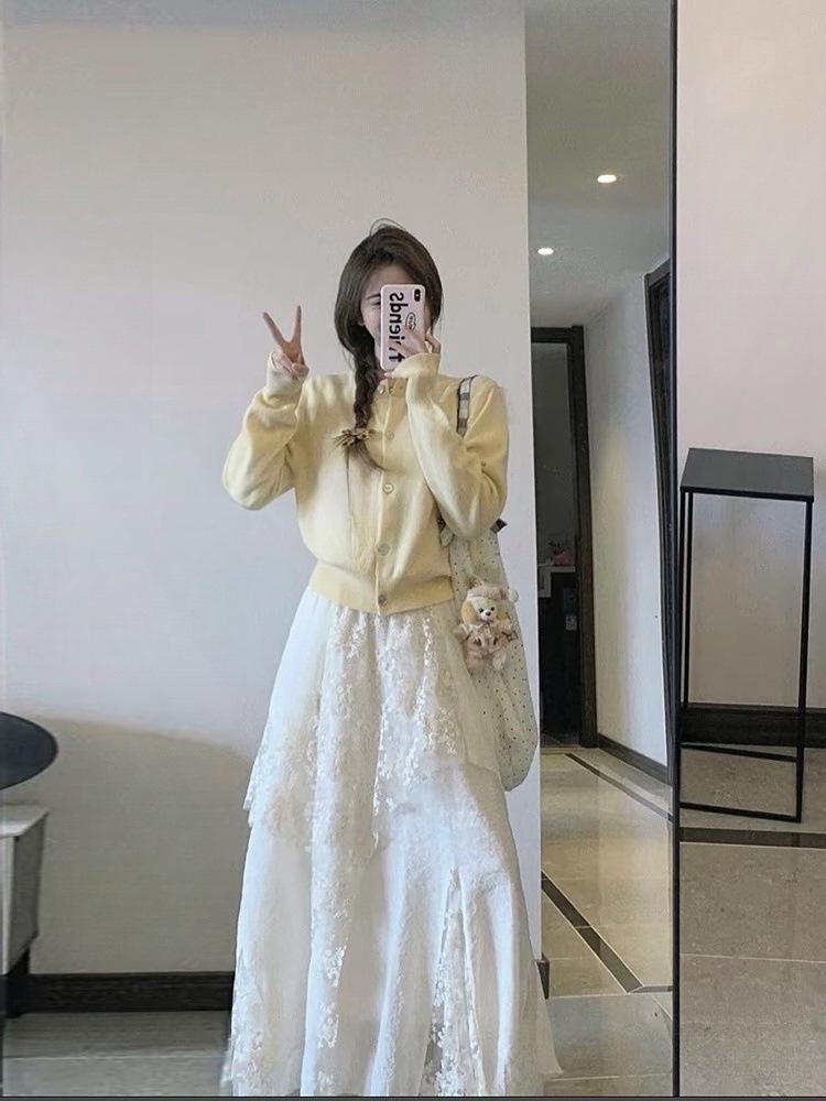 Korean-Style High-Waist Lace Mesh A-line Midi Skirt with Wide Hem