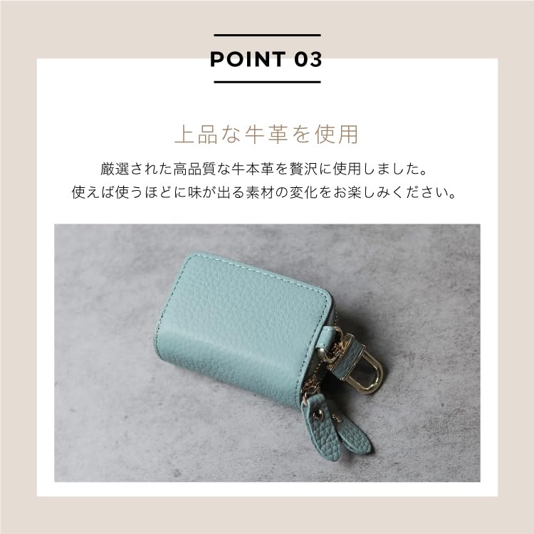 [KNUTe] Smart Key Case with Clear Window, Storage for 2