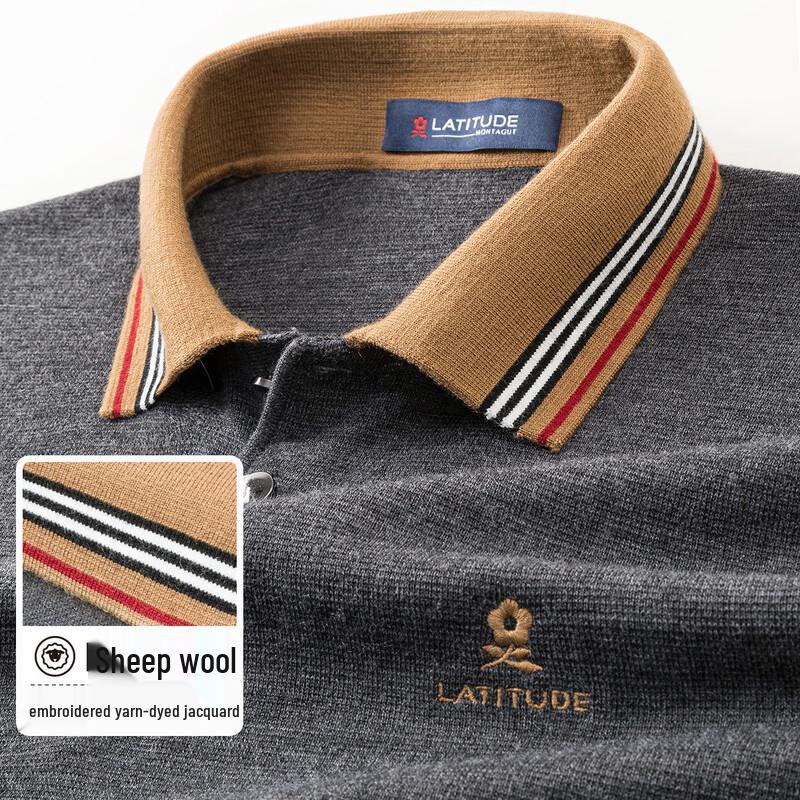 

Мужской теплый свитер-поло с лацканами из смесовой шерсти MONTAGUT M