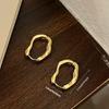 Vintage Metal Geometry Hoop Earring Fashion Design Irregular Minimalist Earrings for Women Fashion Jewelry Gift