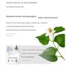 lilyeve Growturn Brush Ampoule Main 100ml, Refill 100ml  (7 Options)