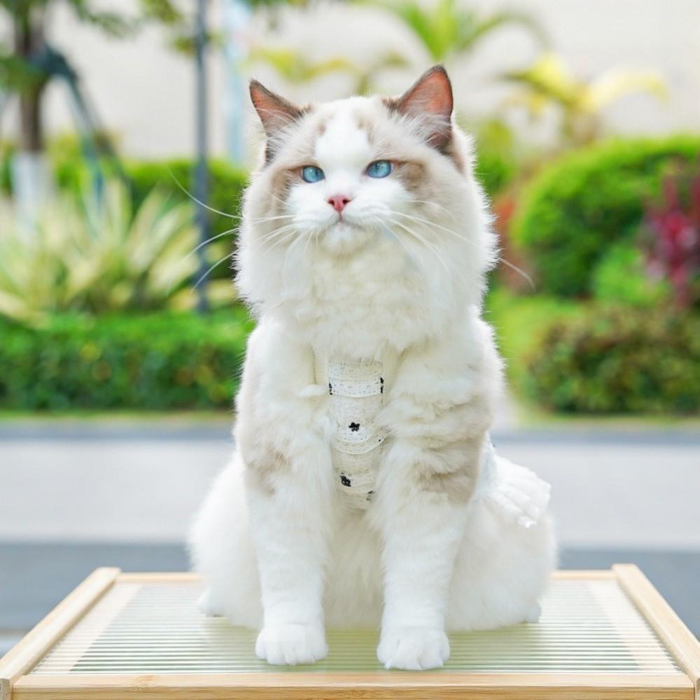 Lace Bowknot Pet Princess Dress Frilly Skirt Cat Suspenders Vest  Spring Season