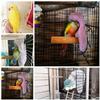 Winter Warm Bird Shawl Nest Corner Parrot Blanket Pet Small Animal Hanging Tent Cage Decoration For Parakeet Lovebird Cockatiel