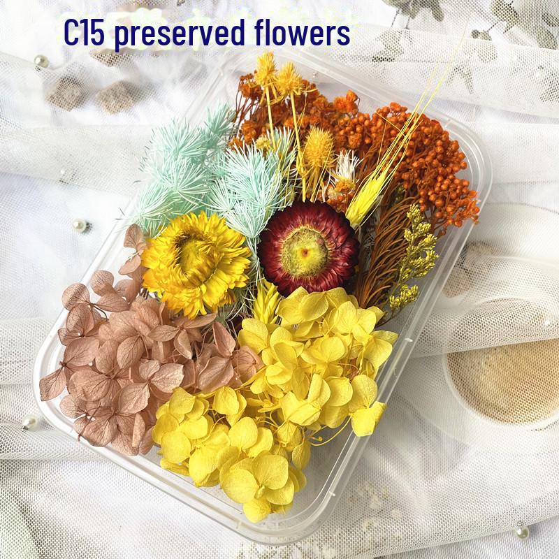 Kit DIY Fleur Éternelle: Cadre photo de fleurs séchées, éventail rond, bouteille flottante, composition florale réelle pour la décoration du salon ou de la maternelle.