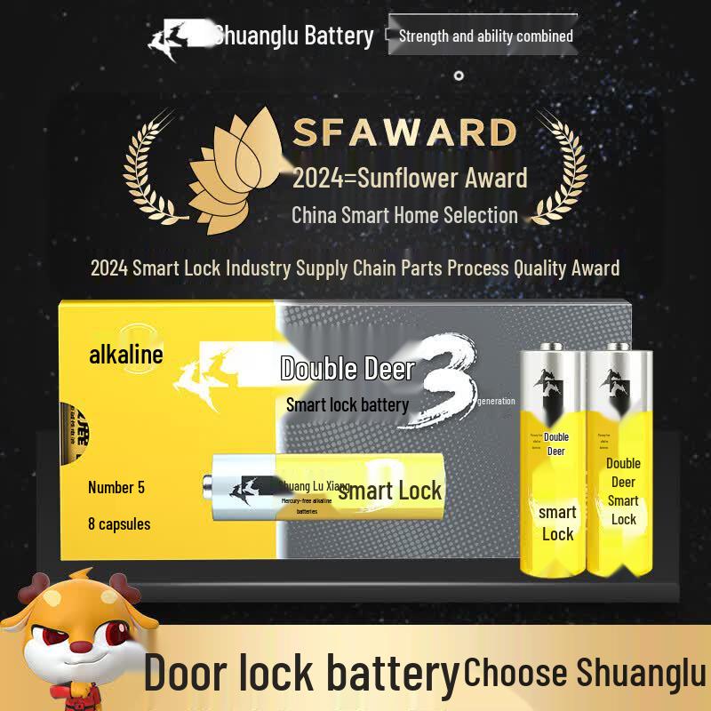 Shuanglu AA Alkaline Batteries for Smart Locks CN plug (adapter included)