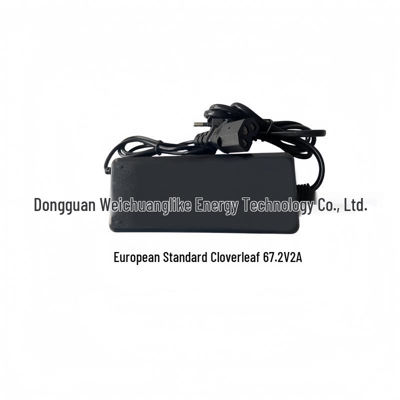 60V 25000mAh 16S5P Lithium-ion Battery Pack for Electric Scooters with Built-in BMS