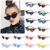 Fashion Eyewear UV400 Female Shades Small Triangle Sunglasses Sexy Retro Sunglasses Vintage