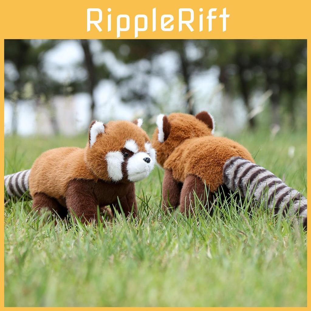 Red Panda Raccoon Animal Plush Fluffy Exterior Children Room Decoration Comfort