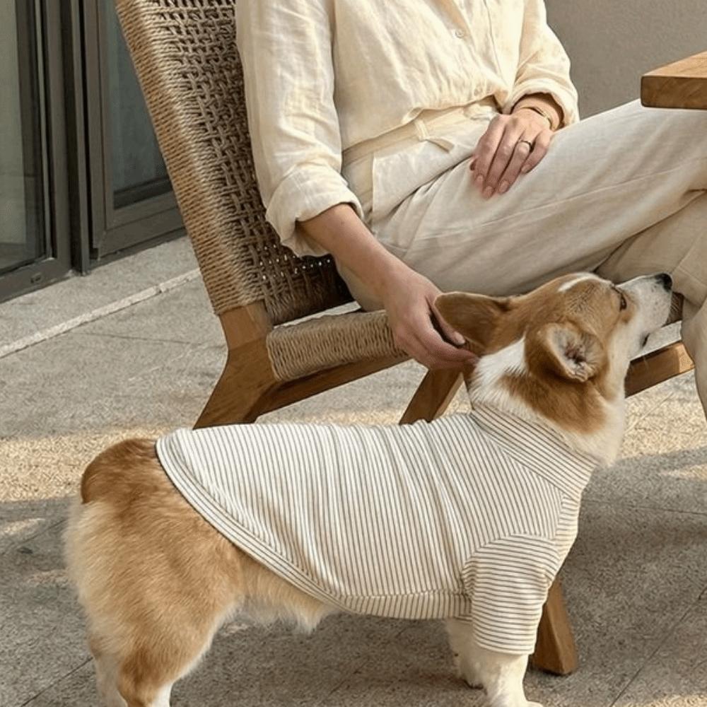 Pet spodní tričko s vysokým límcem Pruhovaný vzor Pet svetr Ležérní psí trička Vnitřní oblečení