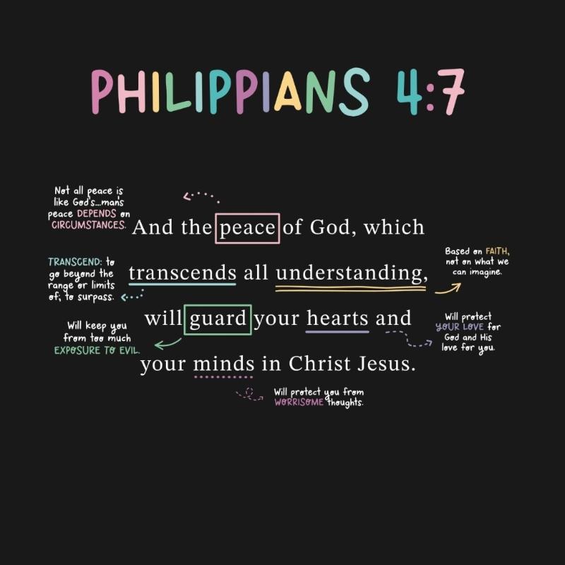 Křesťanské karty s verši Mapované karty s biblickými verši Sada se stojánkem Denní Bible Karty s paměťovými verši Studijní karty s biblickými verši