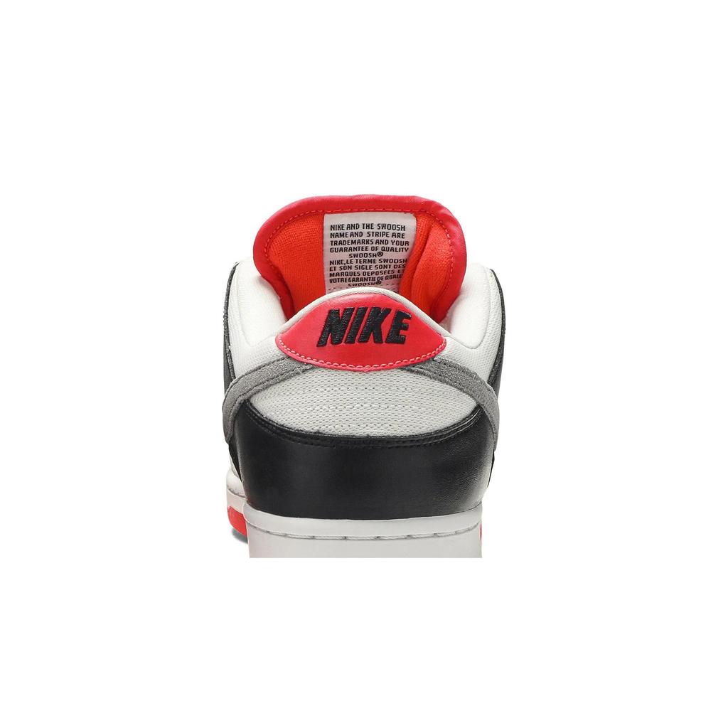 Nike Dunk Low SB 'AM90 Infrared' (Unisex) Skate Shoes CD2563 004