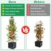 1 Packs Tomato Planter With Trellis, For Garden Pots, Self Watering Tomato Plant Support Cage Self Watering Tomato Cages
