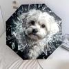 1 PC Automatic Folding Umbrella - Cute Pet Puppy Pattern, Portable & Foldable Design with 8 Ribs, Christmas Birthday Gifts