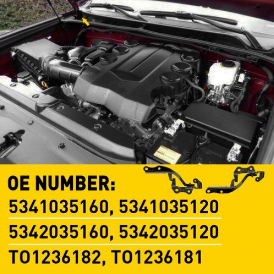 New Front Hood Hinge Set  For 2010- Toyota 4Runner TO1236182 TO1236181