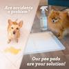 50/100-Pack: Puppy Pads Dog Pee Pad for Potty Training Dogs & Cats Pet Diapers