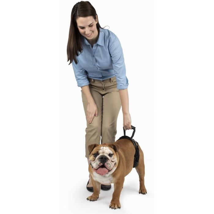 Harnais pour chien - Altranet - Carelift - Nylon brun/noir - Tour de poitrine 80-114 cm - Soutien rééducation
