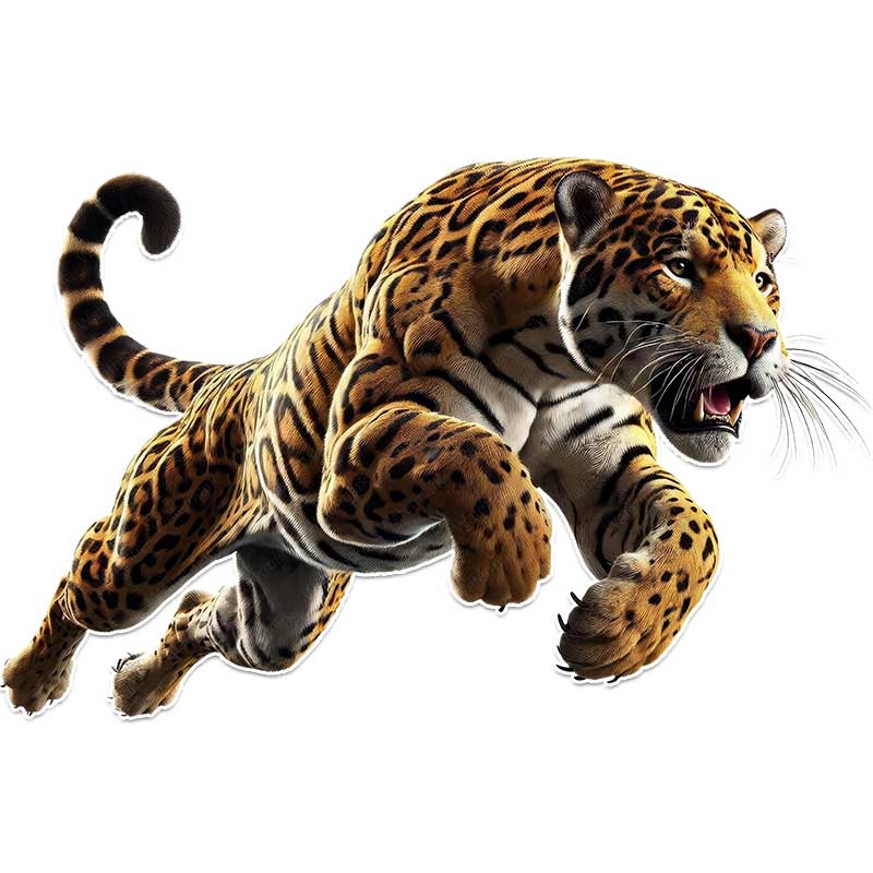 

Leopard Wildlife Car Sticker Vinyl Decal Waterproof Rear Window Motorcycle Camper Bumper Truck Laptop Decoration TM361 A-15x10cm