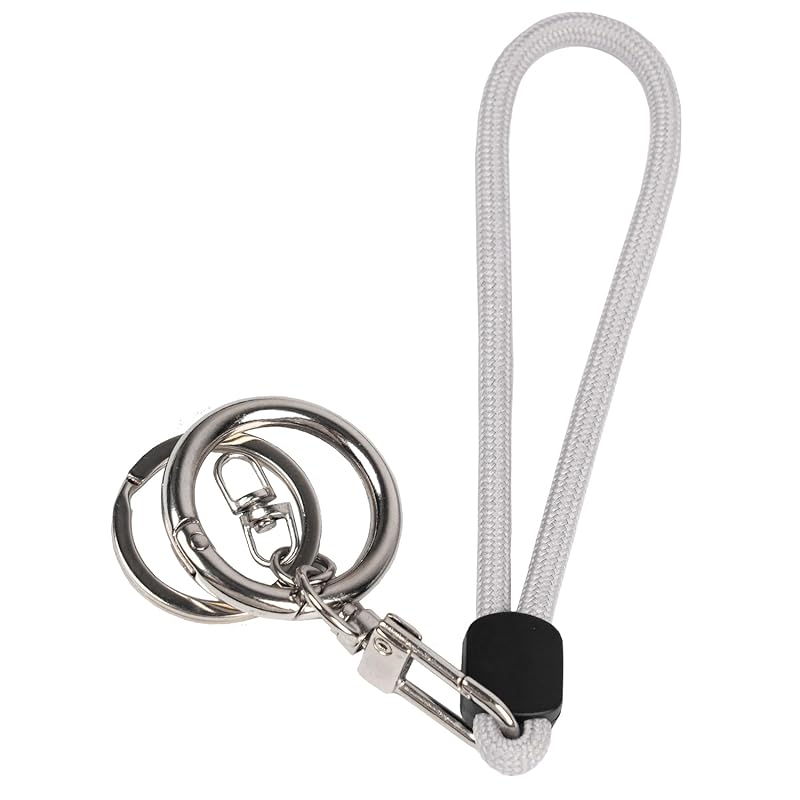 

[YOUOWO] key chain/key ring 1 Piece Spring O-ring Round 5pcs S-shaped carabiner/5pcs sunflower seed keychain/1 set of door zipper (Door