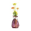 Transparent Pumpa Origami Vas med Diamantmönster för Arrangemang av Färska Blommor