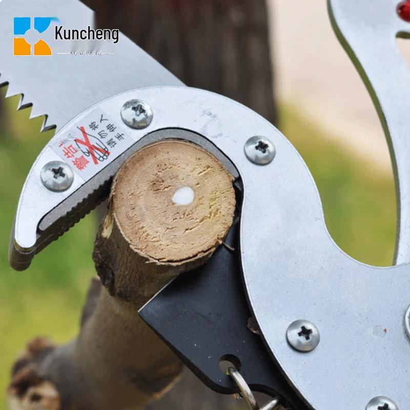 Telescopic High-Branch Pruner and Saw