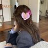 Women Hair Clip 3D Flower Decor Strong Grip Bang Hair Pin Photo Shoot Flower Styling Hairpin Hair Accessories