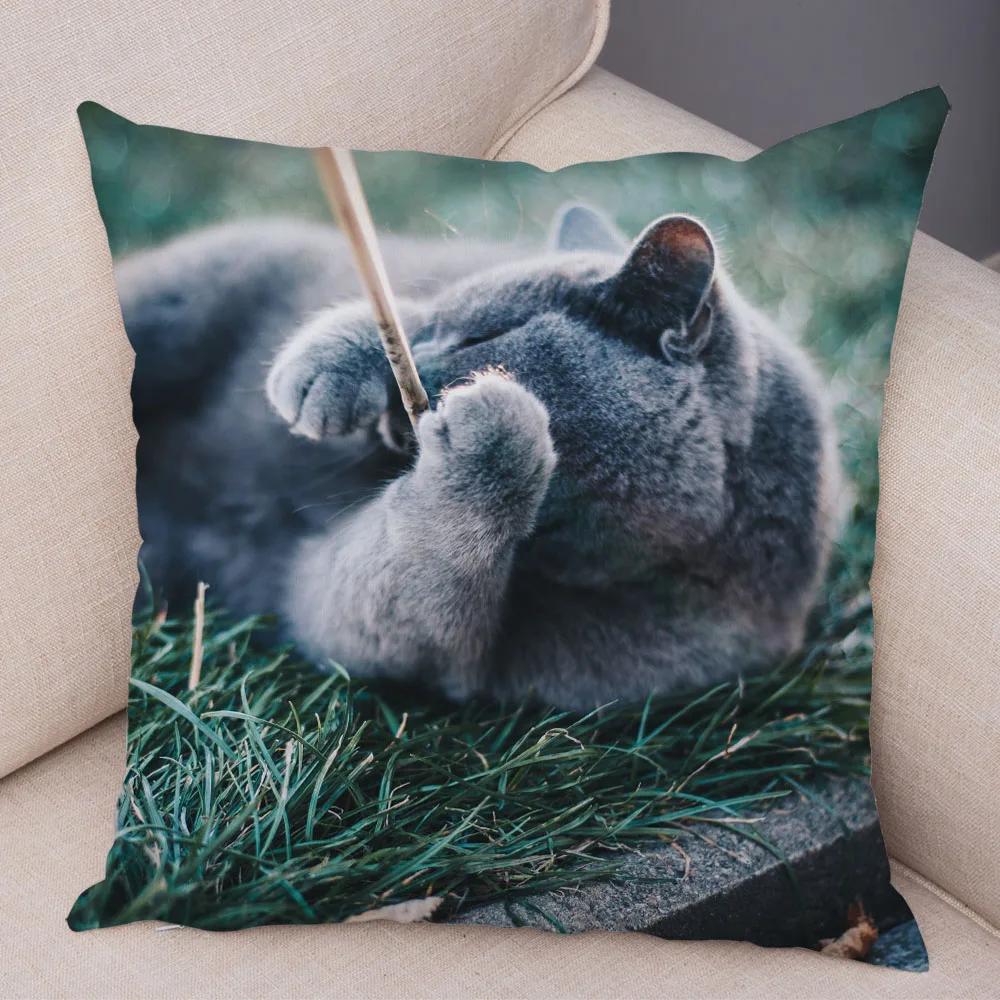 Russian Blue British Shorthair Cushion Cover Decor Cute Cat Pet Animal Pillowcase Soft Plush Pillow Case for Car Sofa Home