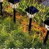 Waterproof Solar Garden Lights: Outdoor Courtyard Lawn Decoration