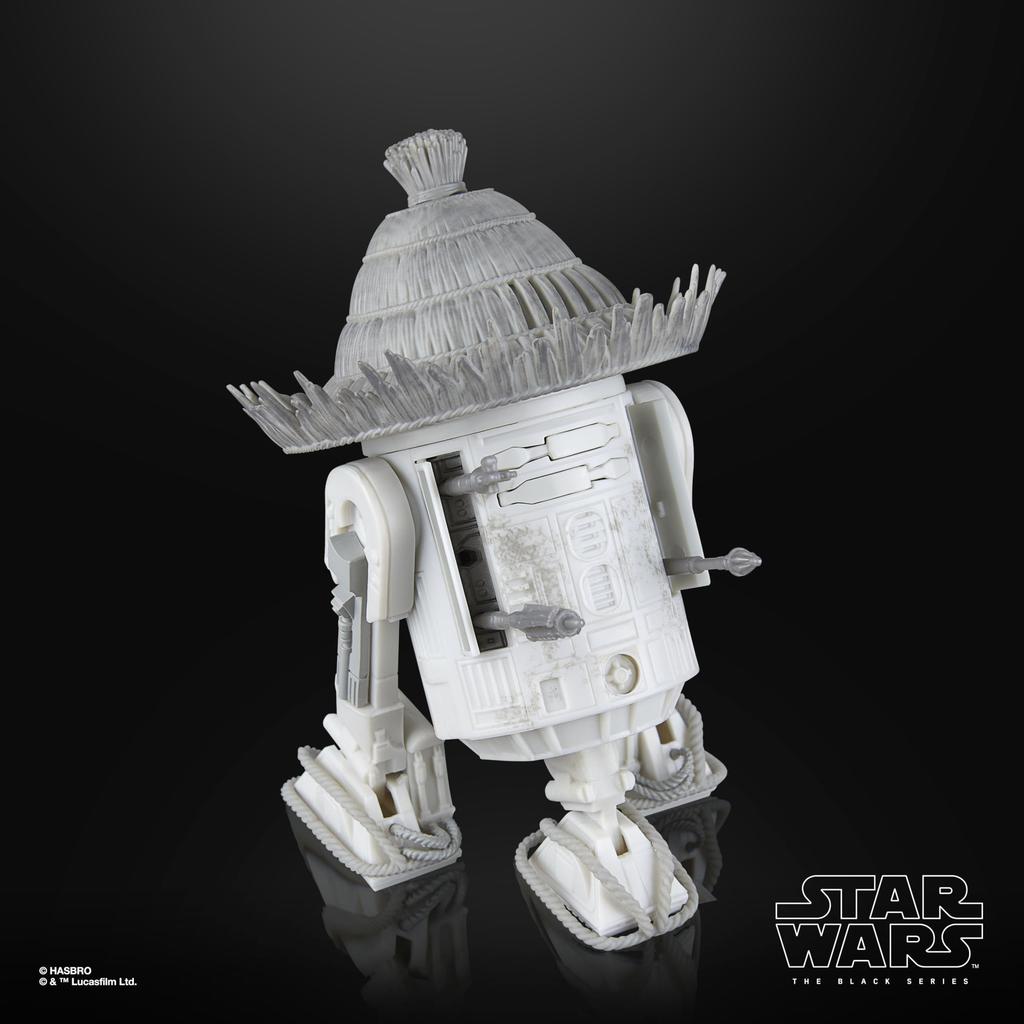 Hasbro Star Wars STAR WARS Black Series Ronin & R5-D56, Star Wars: Visions Kolekcja Premium 15 cm Figurka Akcji 2-pak G1320 Autentyczny