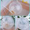 Transparent Plastic Hamster Mouse Rodent Gym Ball Run Fitness Exercise Toy Pet