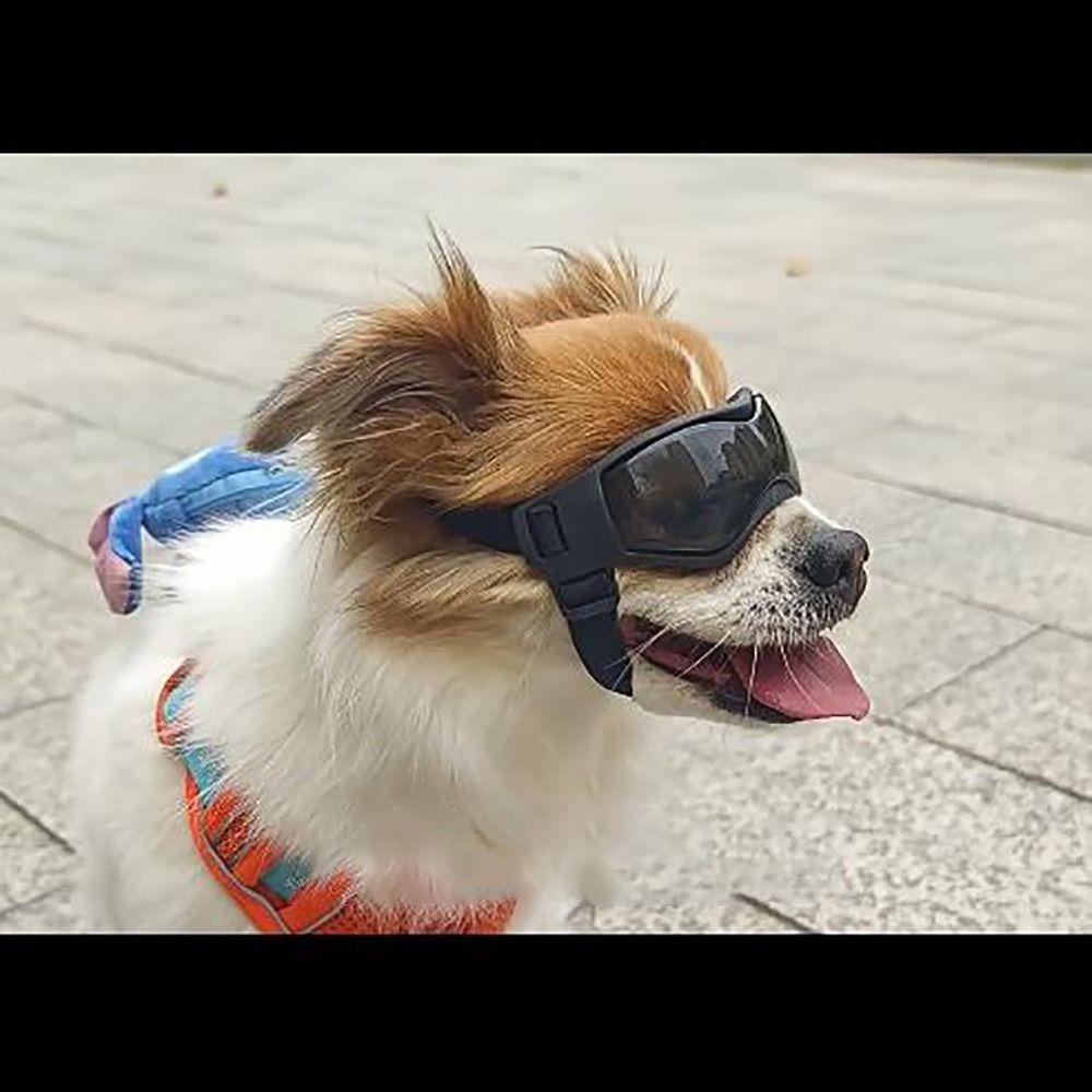 Silicon+PC+Nylon Pet Goggles Adjustable Anti UV Dog Motorcycle Glasses Pet Photo Props Windproof Rope Cat Dog Cool Glasses