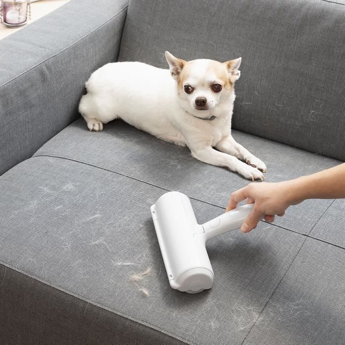 Brosse Anti-poil - Rellair - InnovaGoods - Éco-responsable - Réutilisable - Multifonction