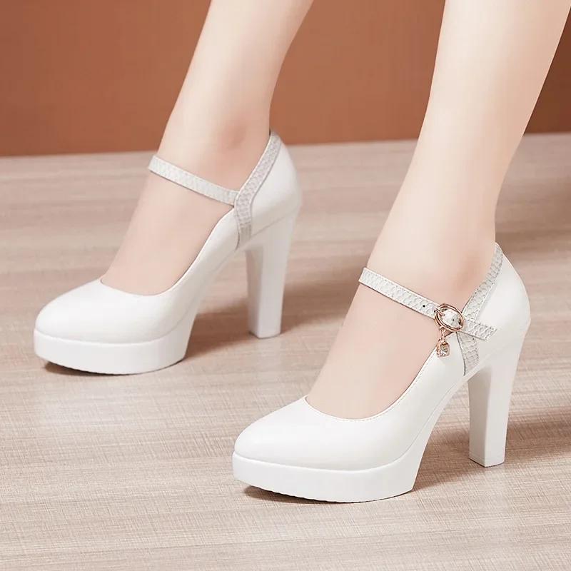 8 10 13cm Small Size 32-43 Elegant Thick Bottom Platform Pumps Women 2025 Fall Block High Heels Shoes Dress Model Office Party