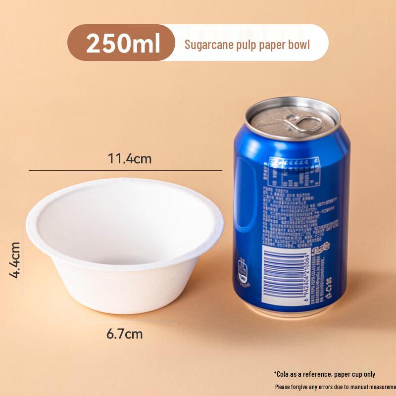 Disposable Sugarcane Pulp Paper Plates