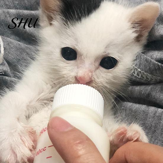 Cat Nursing Bottle 50ml, 120ml Feeding Soft Head Leak-proof Removable No Odor Pet Kitten Dogs for Newborn Puppy