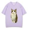 Cat Owl Funny Meowl Meme Brainrot Graphic Tshirts Unisex Unisex Fashion Short Sleeves Tshirt Cotton Oversized T Shirts Streetwear