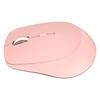 Wireless Mouse RGB Running Light Stylish Universal Dual Modes Type C Rechargeable Bluetooth Mouse